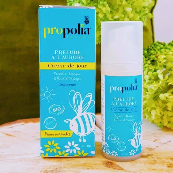 Crème de jour active peau normale bio