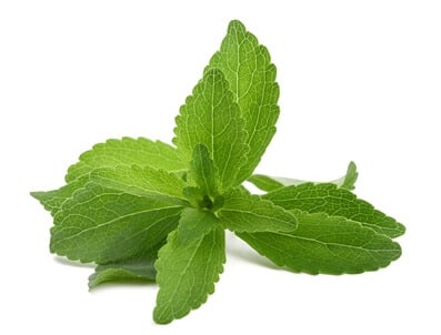 stevia bio